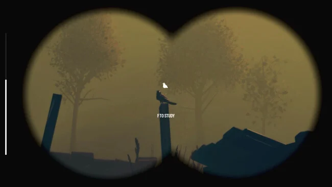 Birds-Watching-Pc-Download